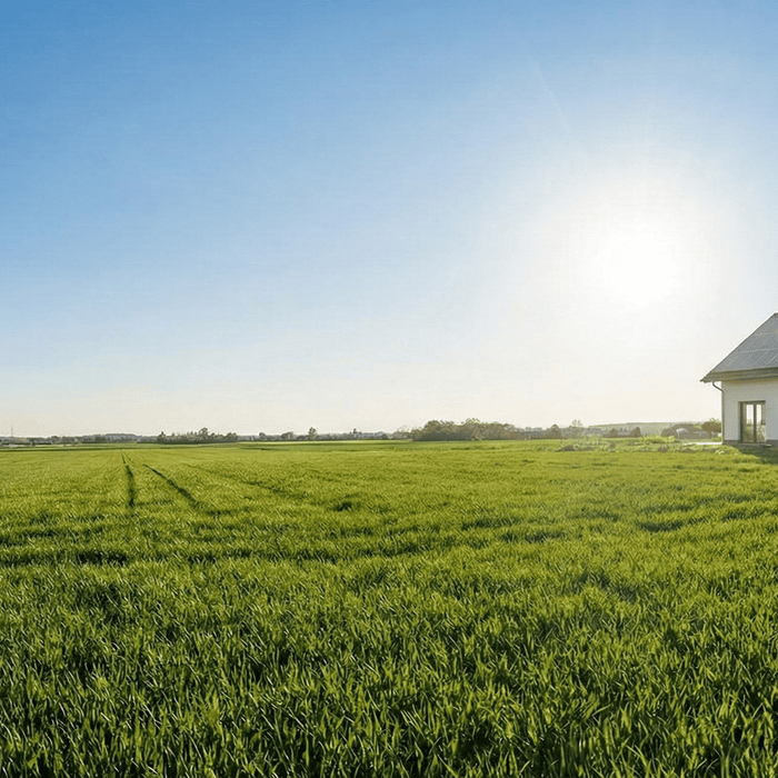 A solar home on the right side with a green field, blue skies, and bright sun behind it
