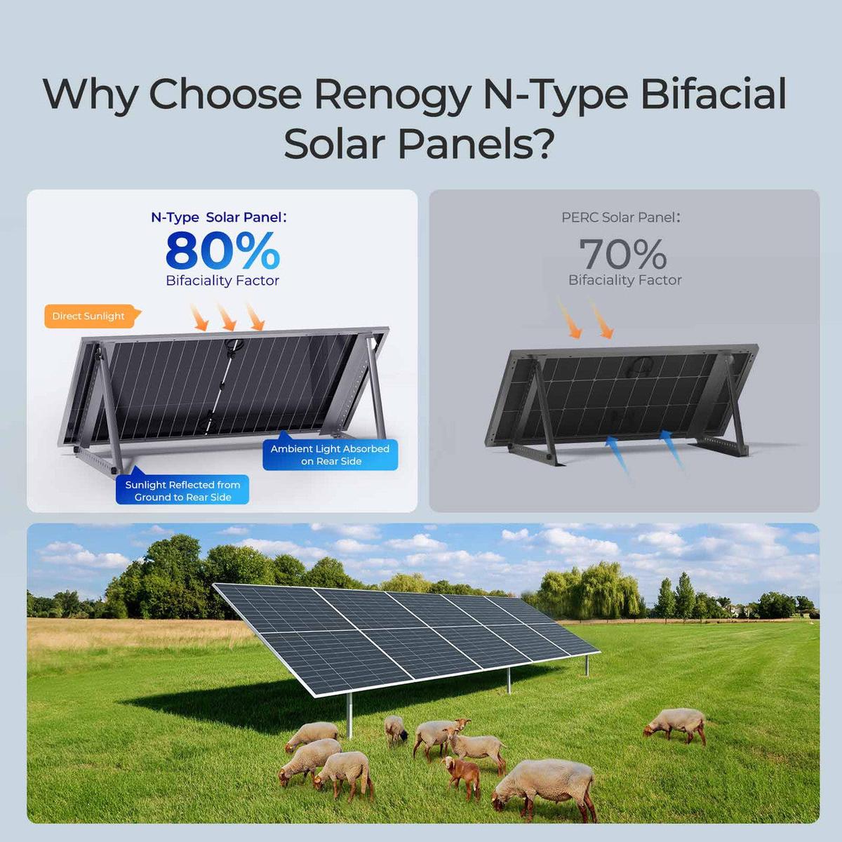 Renogy 2PCS Bifacial 590 Watt N-Type Monocrystalline Solar Panel-7