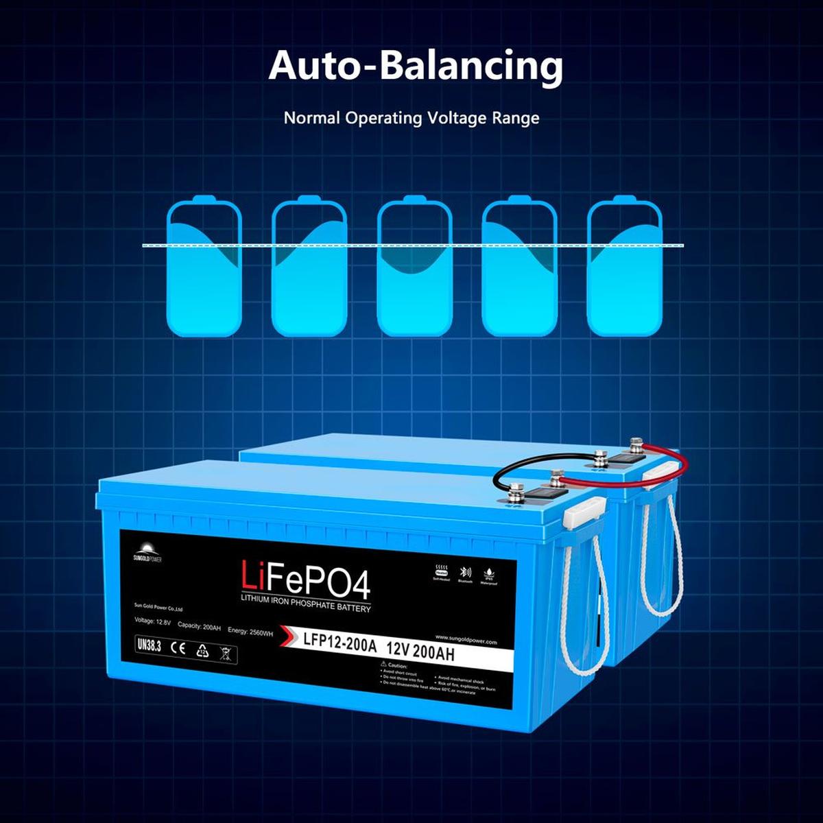 12V 100Ah/ 200Ah LiFePo4 Deep Cycle Lithium Battery Bluetooth / Self-Heating / IP65-5