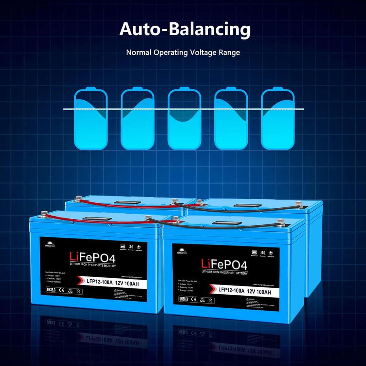 12V 100Ah/ 200Ah LiFePo4 Deep Cycle Lithium Battery Bluetooth / Self-Heating / IP65-14