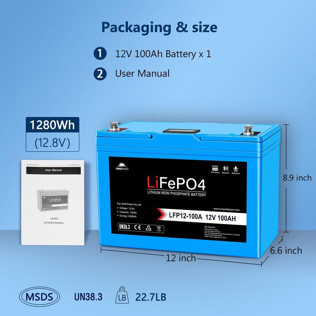 12V 100Ah/ 200Ah LiFePo4 Deep Cycle Lithium Battery Bluetooth / Self-Heating / IP65-13