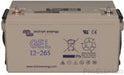 Victron Energy Gel Battery-1
