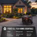 DuroStar DS14000iX dual fuel inverter generator