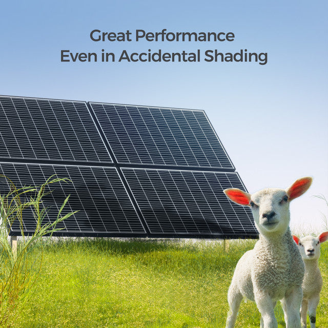 Renogy 320 Watt Monocrystalline Solar Panel