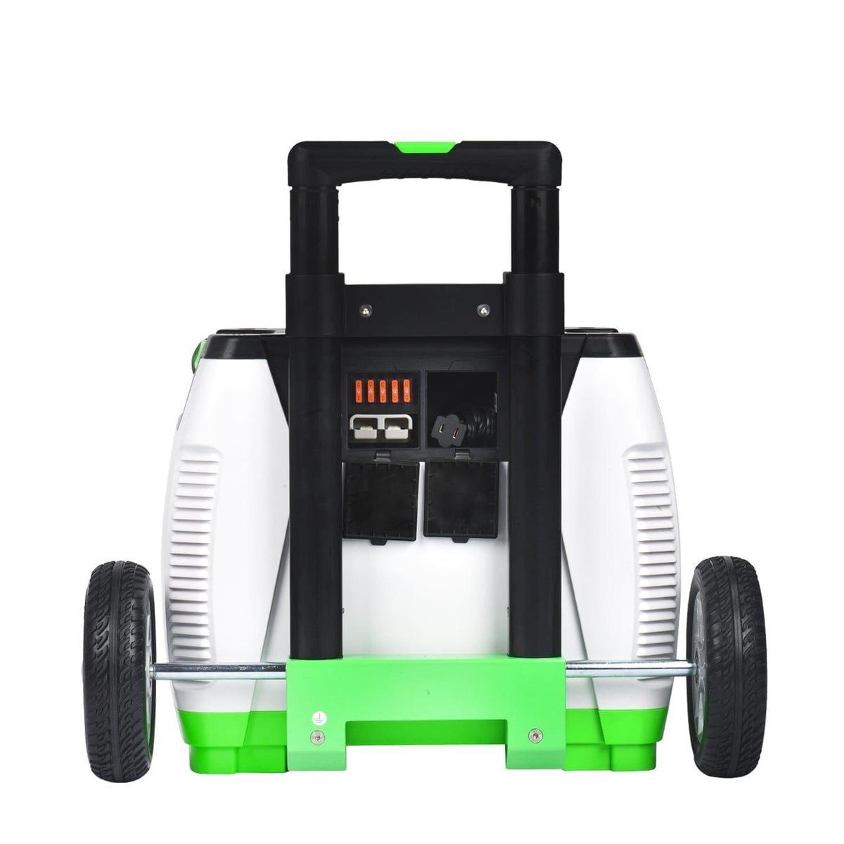 Nature's Generator Gold - WE System-5