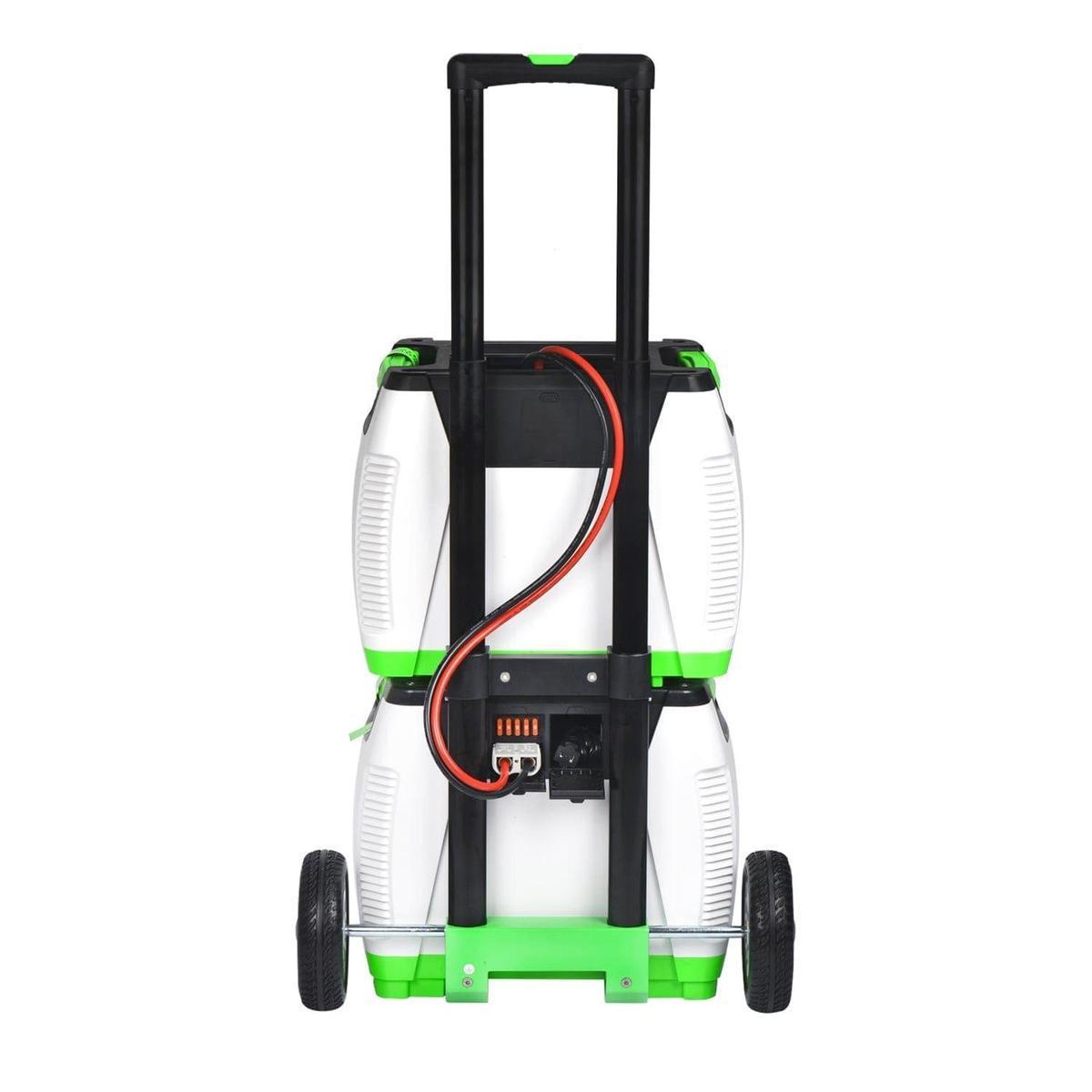 Nature's Generator Platinum - WE System-5